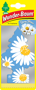 WUNDER-BAUM - DAISY FLOWER