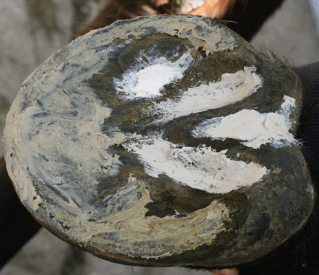 Arti Mud  - 2