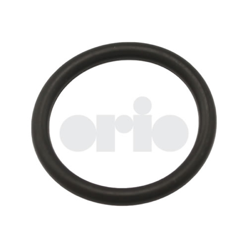 O-RING