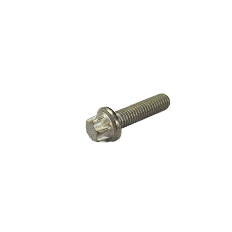  Torx screw