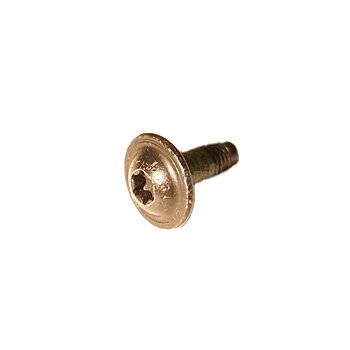 Screw