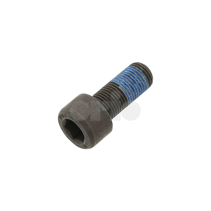 Torx screw