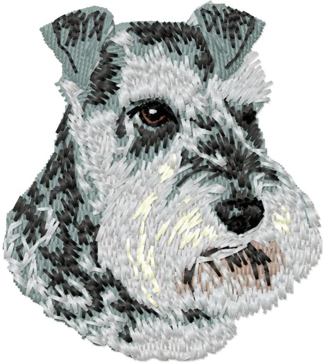 Schnauzer 