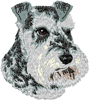 Schnauzer 