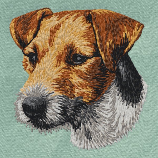 Jack Russell Terrier/Parson Russell Terrier