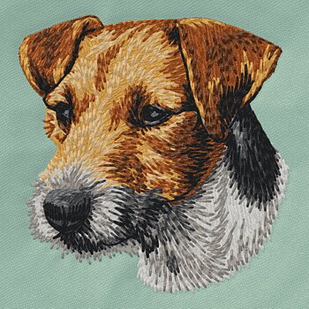 Jack Russell Terrier/Parson Russell Terrier