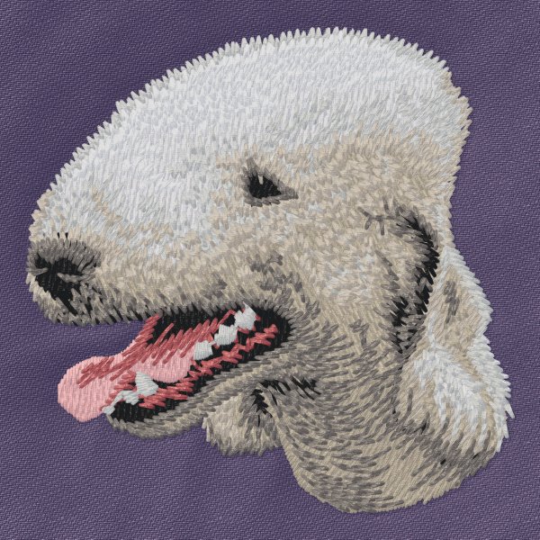 Bedlingtonterrier