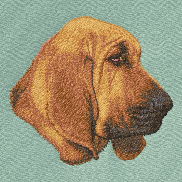 Blodhund