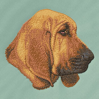 Blodhund