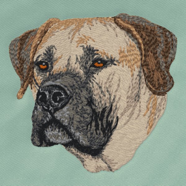 Boerboel