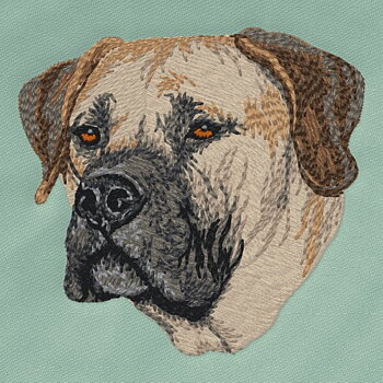 Boerboel
