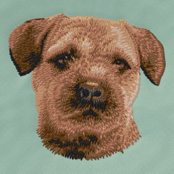 Borderterrier