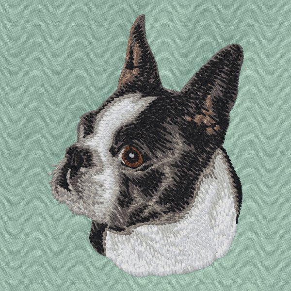 Bostonterrier