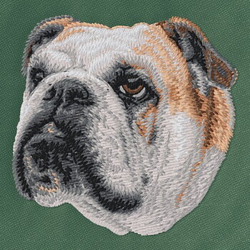 Bulldog