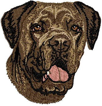 Cane Corso