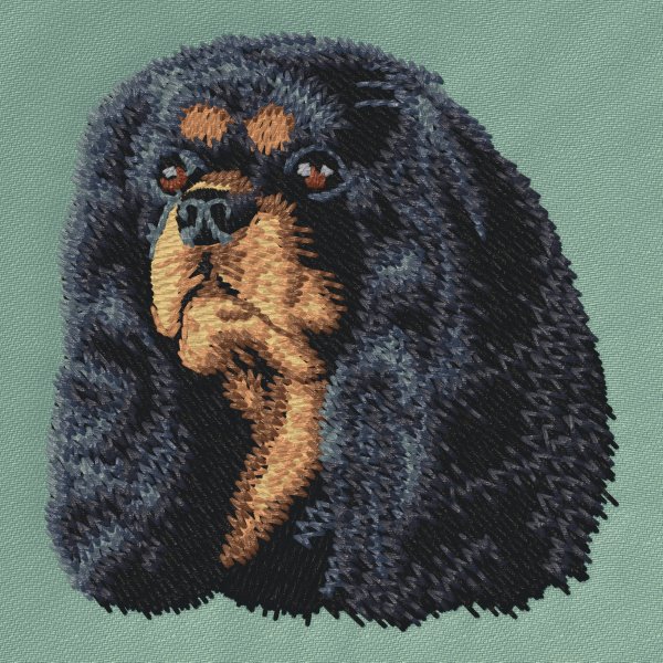 Cavalier King Charles Spaniel svartbrun