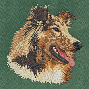 Collie Sobel
