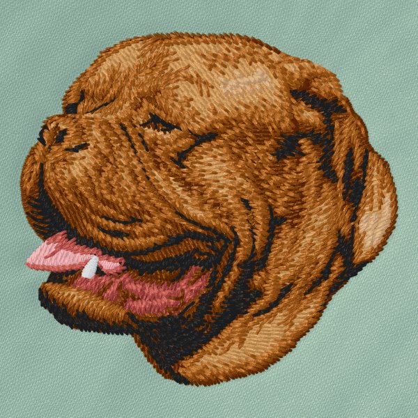 Dogo De Bordeaux