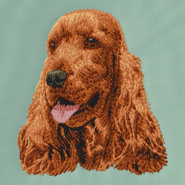 Engelsk Cocker Spaniel