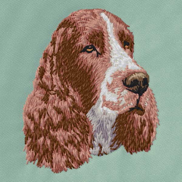 Engelsk Springer Spaniel