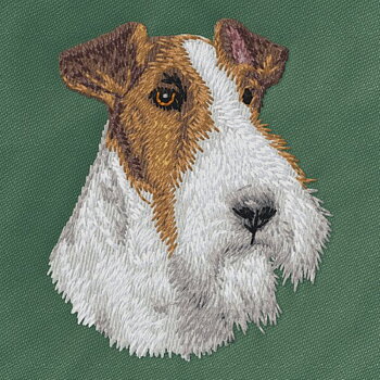 Foxterrier