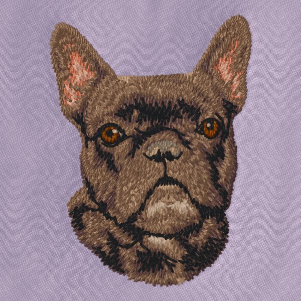 Fransk Bulldog