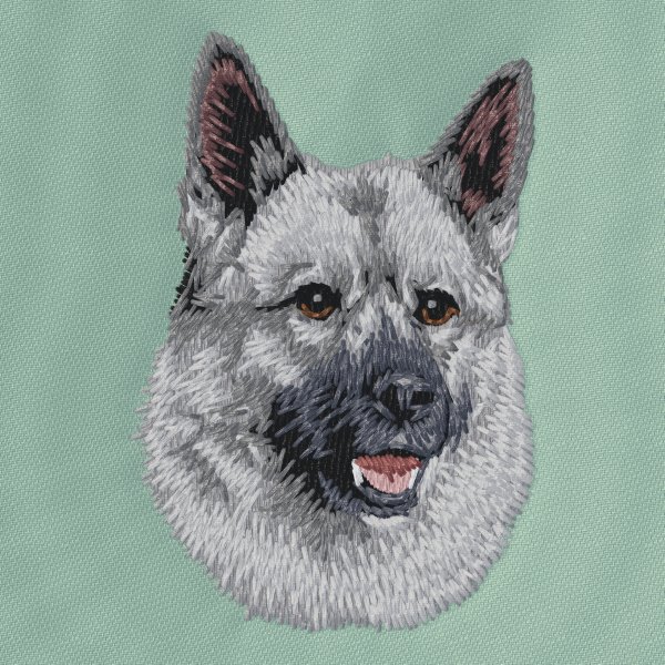 Gråhund