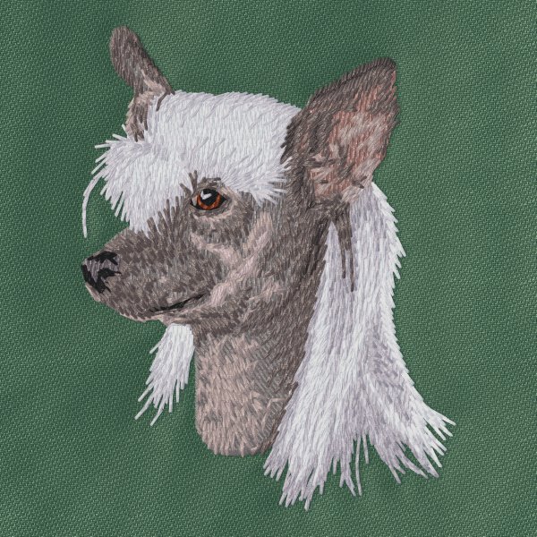 Kinesisk Nakenhund
