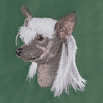 Kinesisk Nakenhund