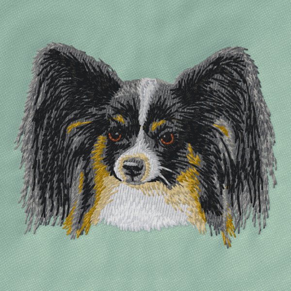 Papillon svartvit