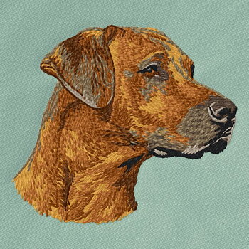 Rhodesian Ridgeback