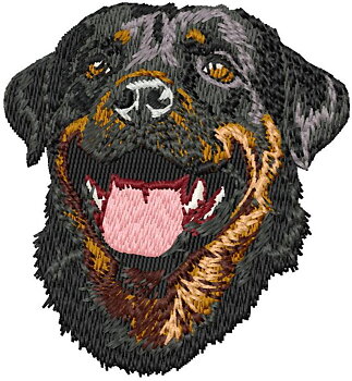 Rottweiler