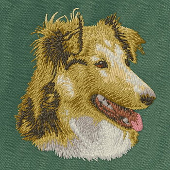 Shetland Sheepdog