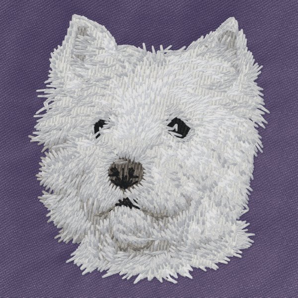 West Highland White Terrier