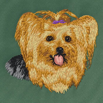 Yorkshireterrier