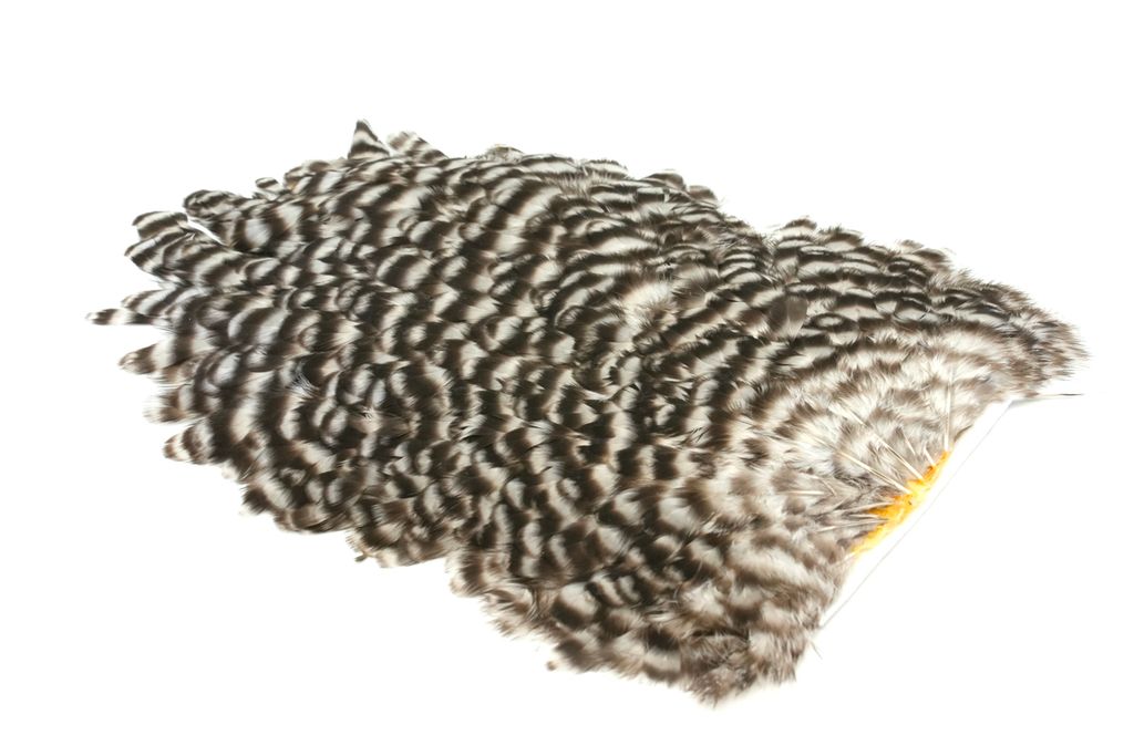 Whiting 4 B's Hen Saddle  - 3