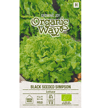 Sallad Black Seeded Simpson - Organic Way