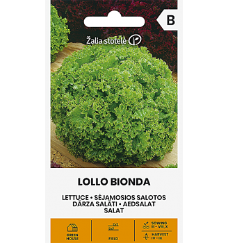 Sallad "Lollo Bionda"