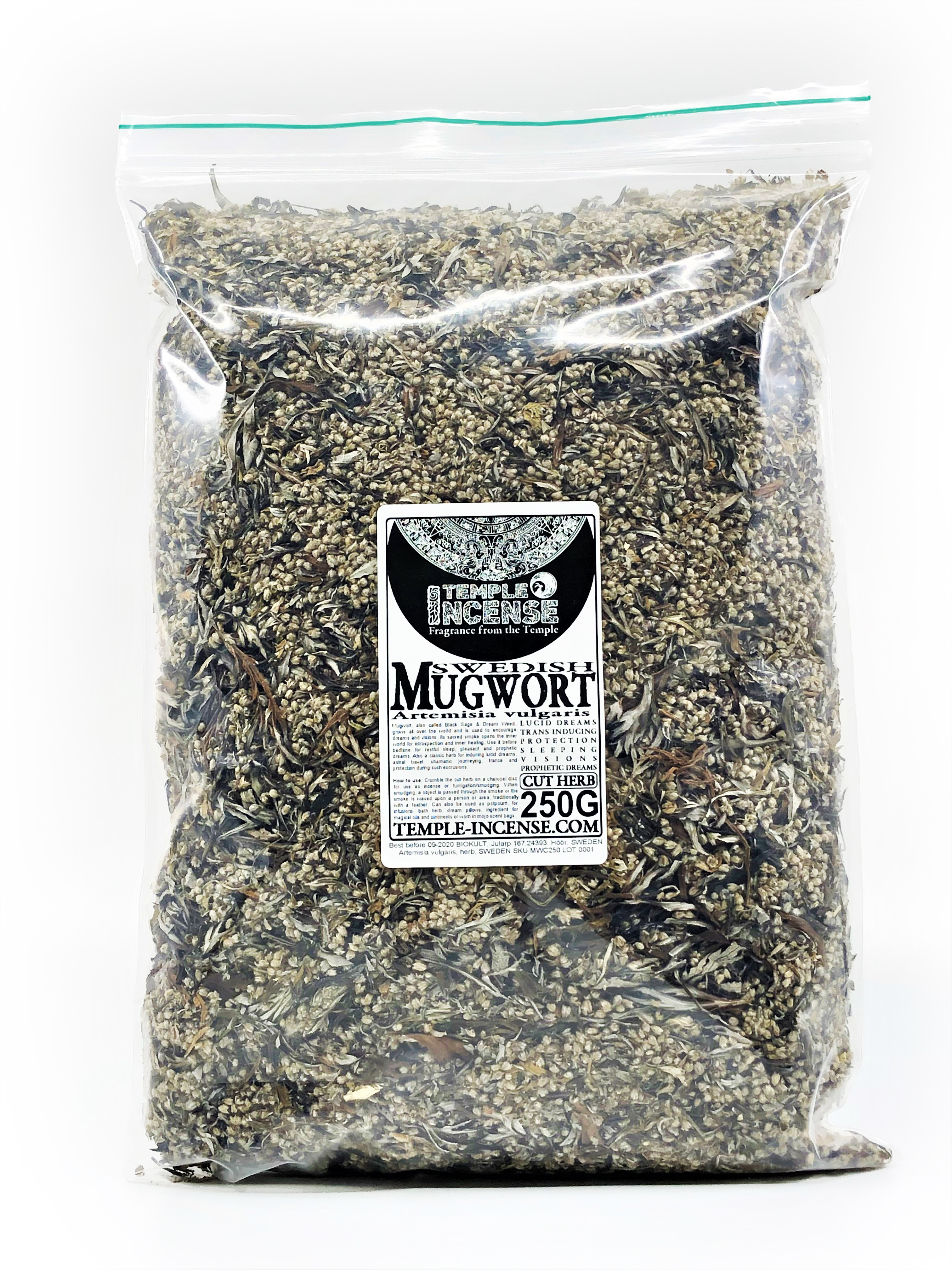 Mugwort (Artemisia vulgaris) - 6