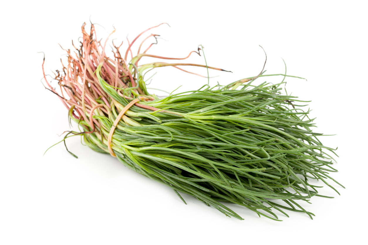 Agretti, Italiensk sodaört, Roscano, Barba di Frate 40g - 2