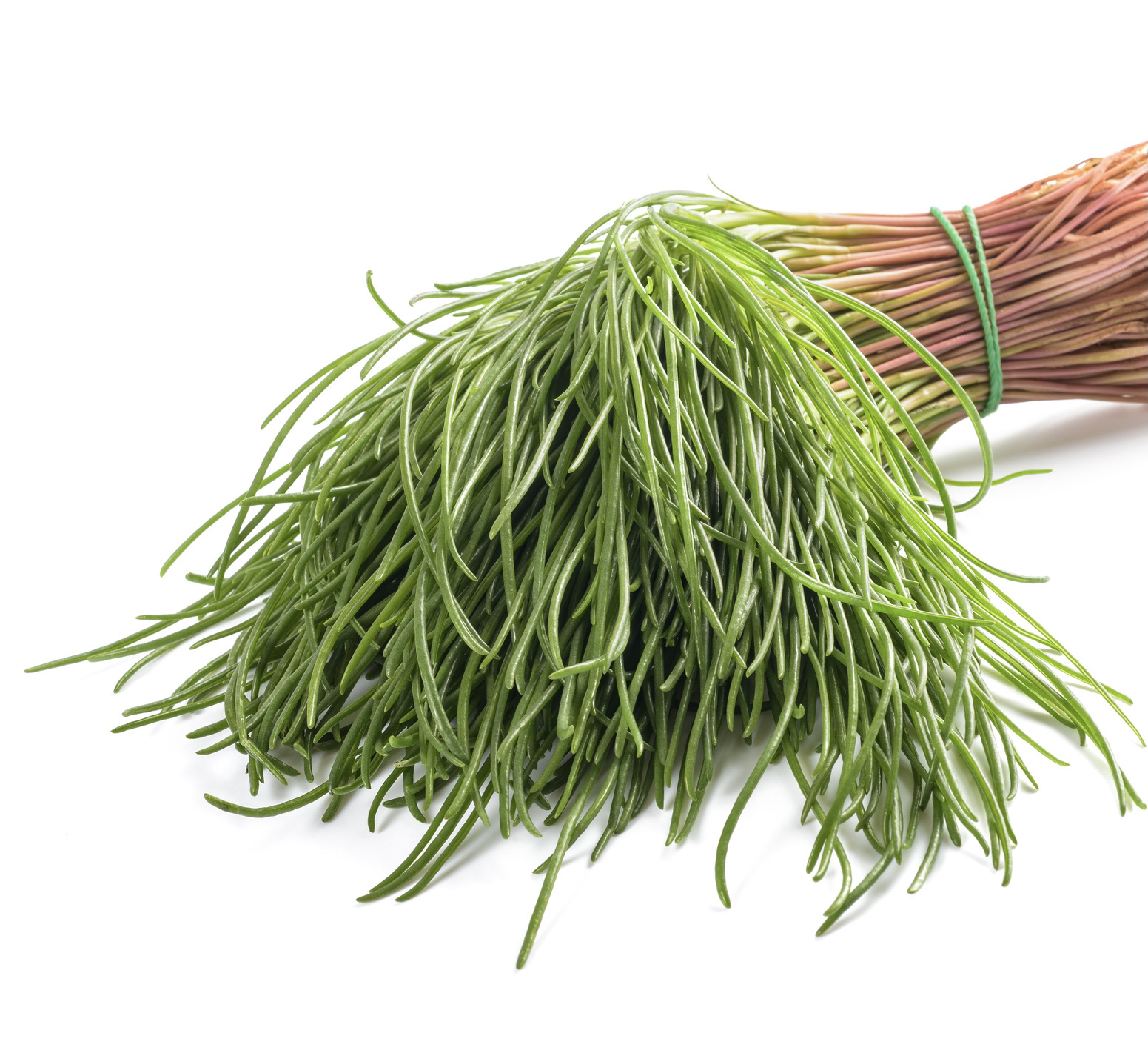 Agretti, Italiensk sodaört, Roscano, Barba di Frate 40g - 3