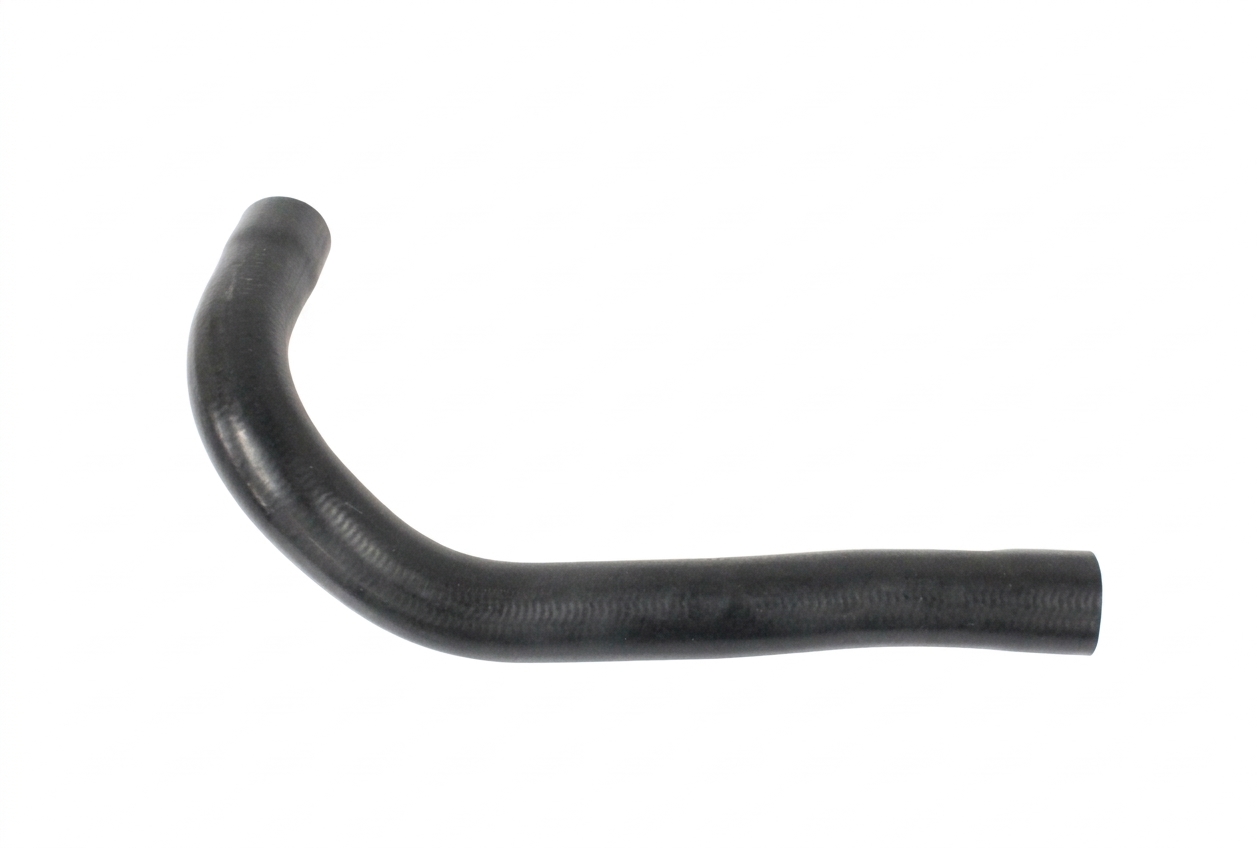 Radiator hose lower, 240 (4-cyl)