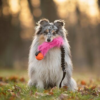 Bungee Fake Fur Tug L with Chuckit