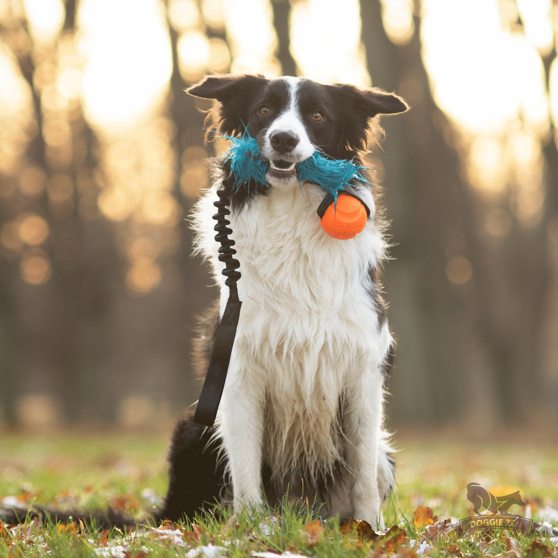 Bungee Fake Fur Tug L with Chuckit