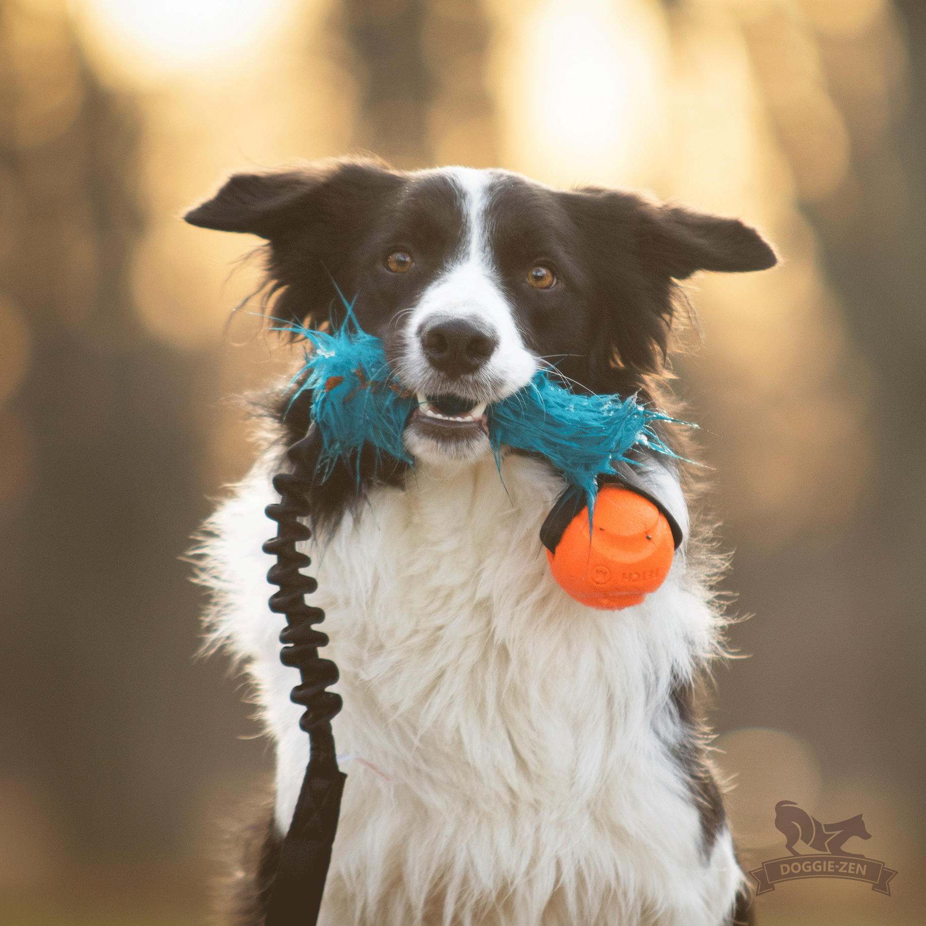 Bungee Fake Fur Tug L with Chuckit - 4