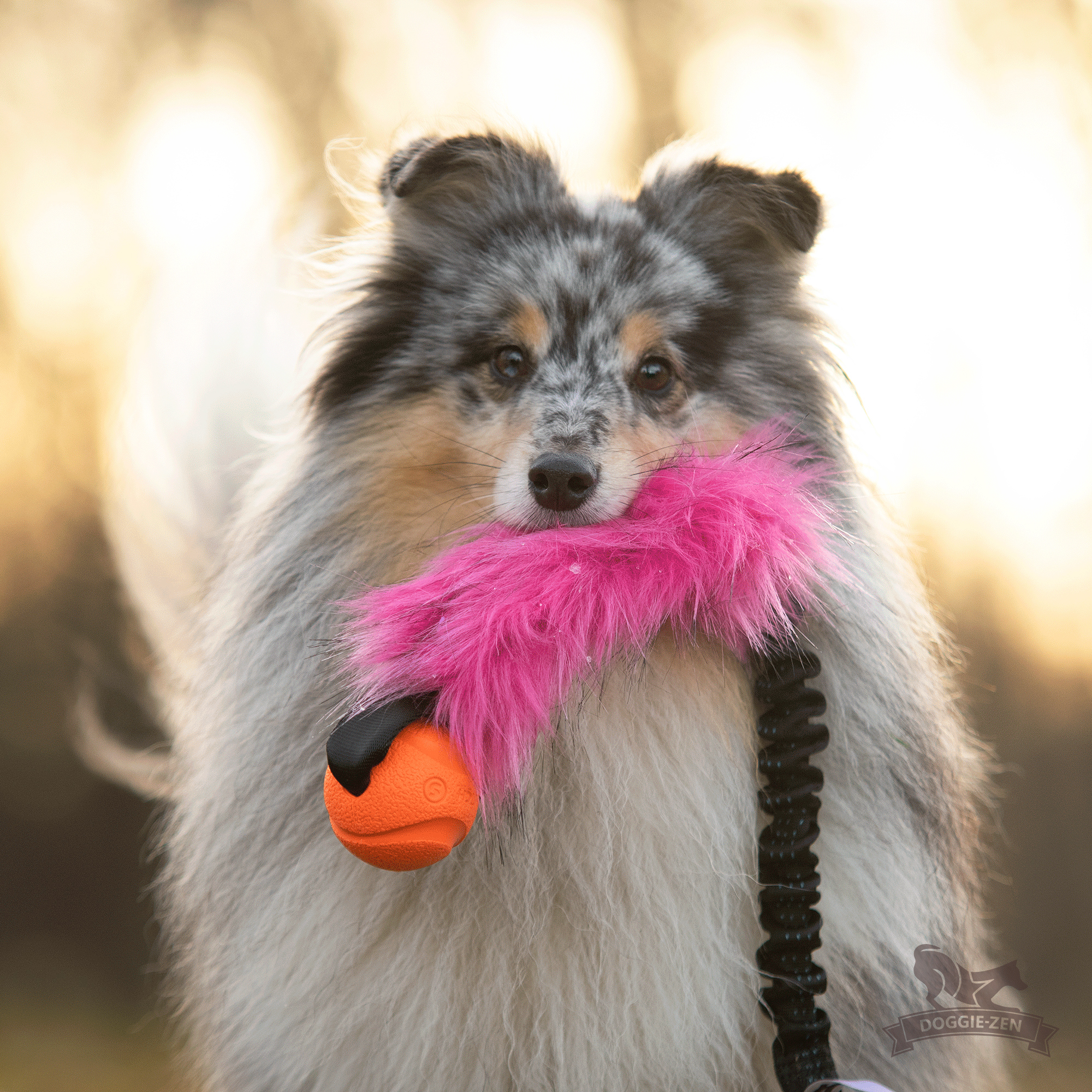Bungee Fake Fur Tug L with Chuckit - 8
