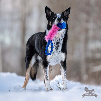 Bungee Pocket Tug Fake Fur with KONG Squeezz Ball