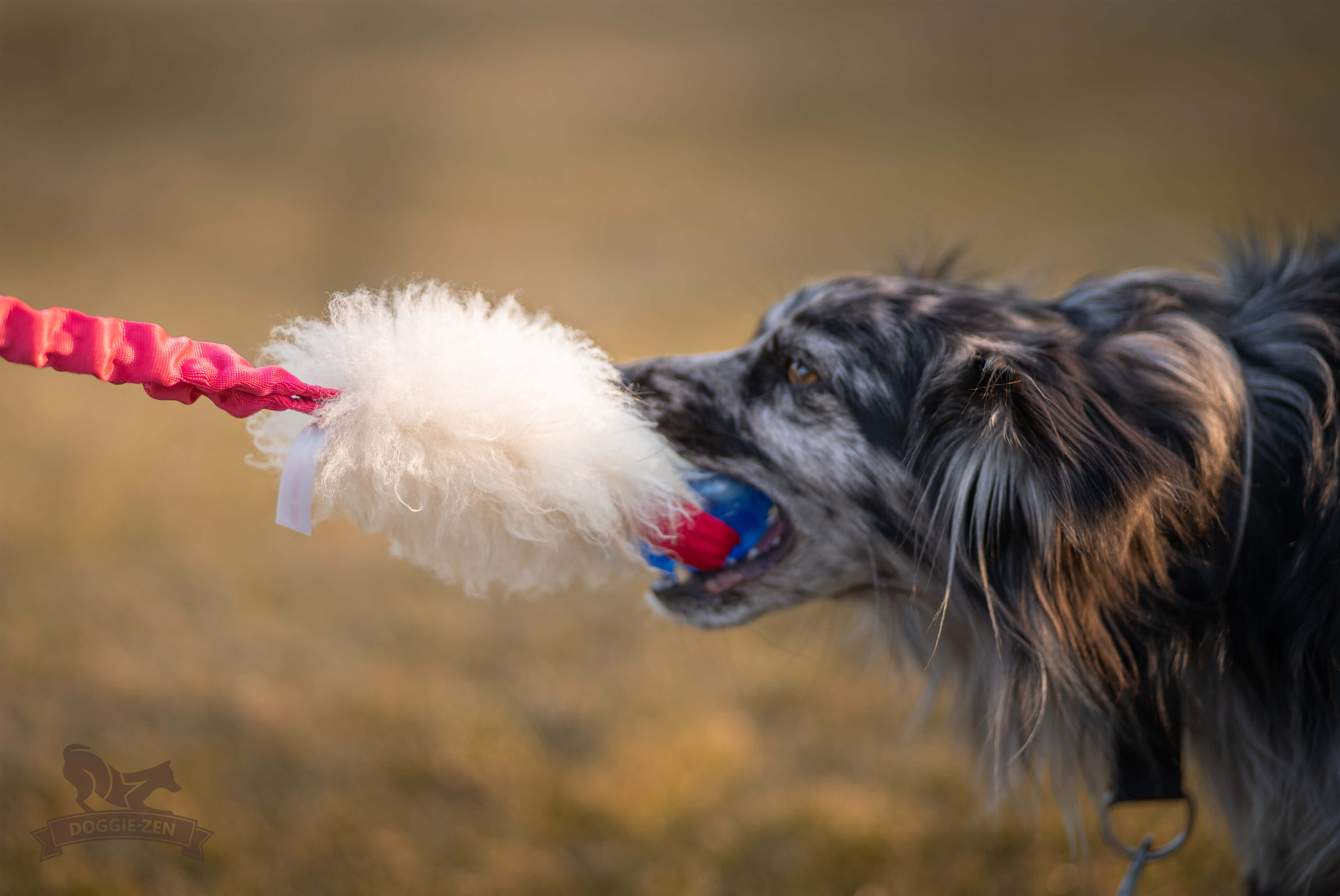 Bungee Pocket Tug Sheepskin with KONG Squeezz Ball - 3