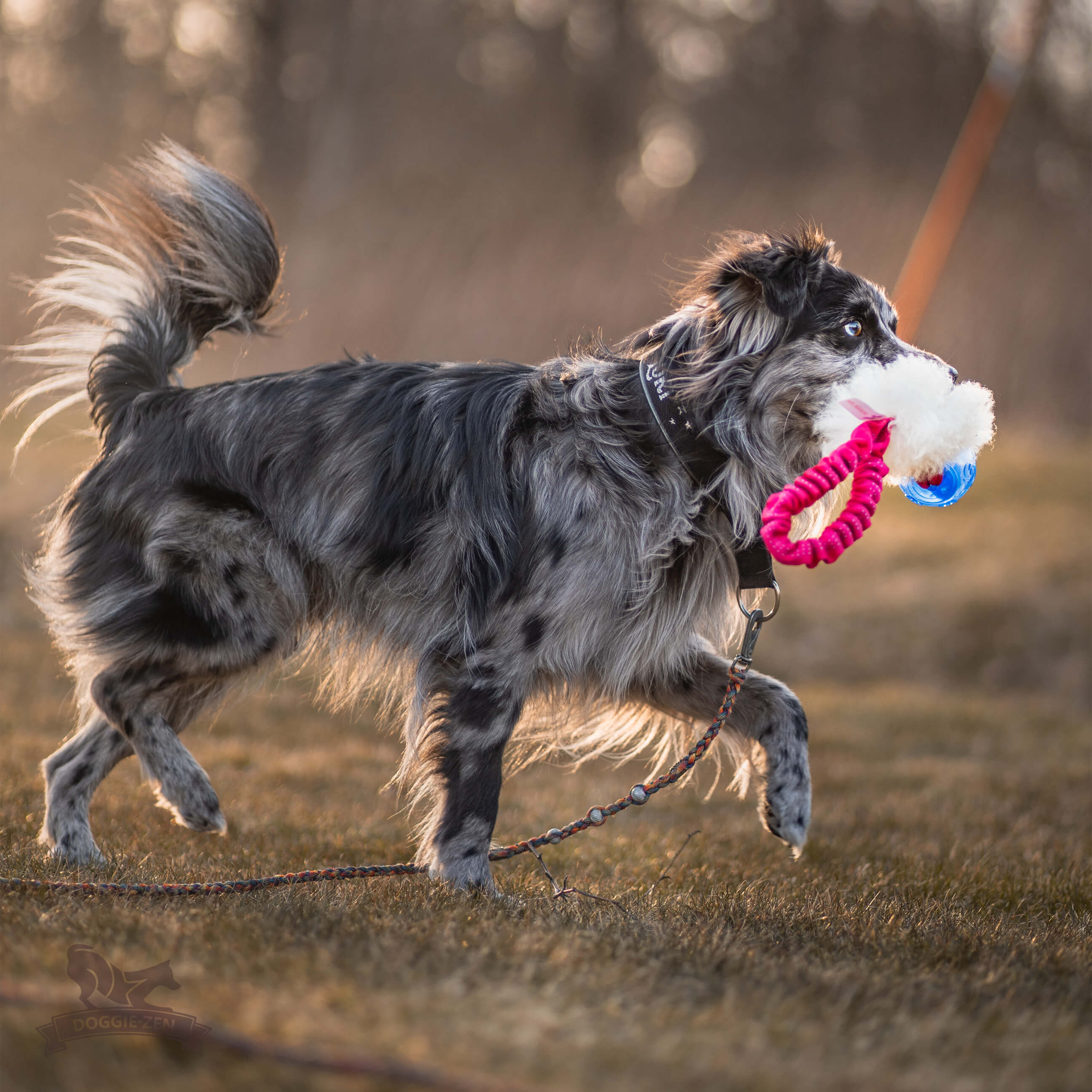 Bungee Pocket Tug Sheepskin with KONG Squeezz Ball - 7