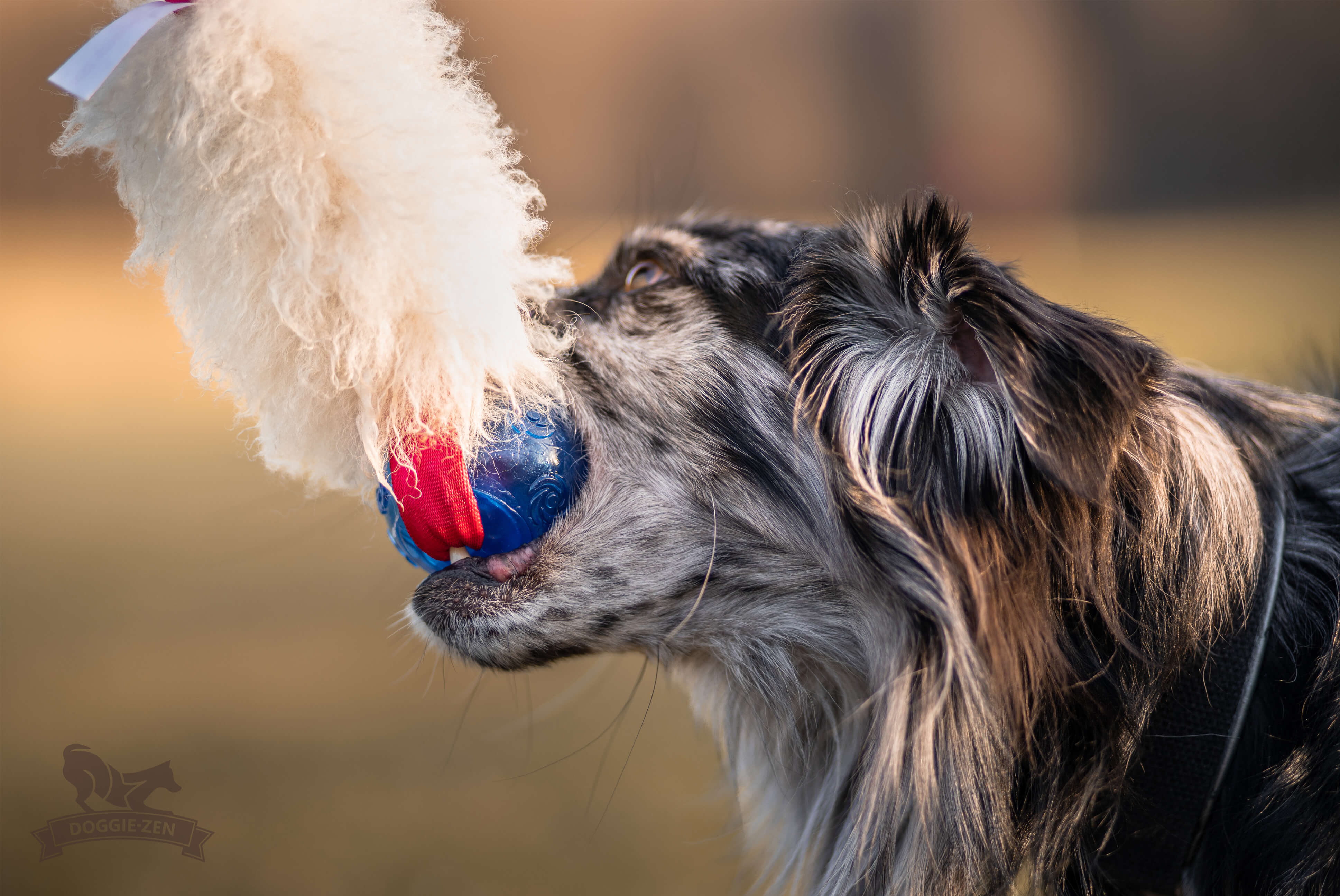 Bungee Pocket Tug Sheepskin with KONG Squeezz Ball - 10